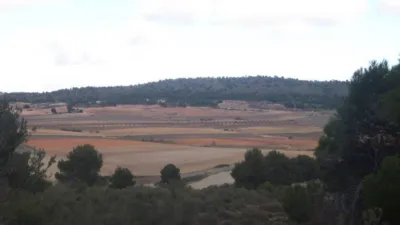 Rustic farm in Calle de Tobarra photo 11