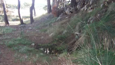 Rustic farm in Calle de Tobarra photo 12