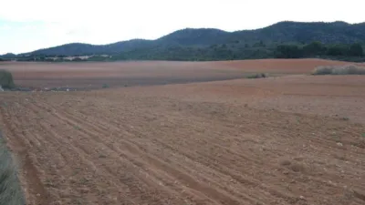 Rustic farm in Calle de Tobarra photo 6