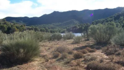 Rustic farm in Calle de Tobarra photo 9