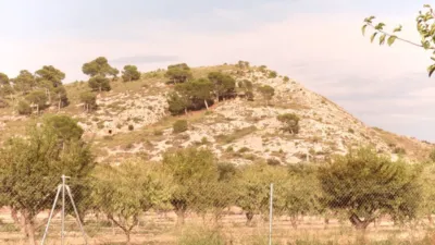 Finca rústica en venta en Calle de Tobarra, Tobarra