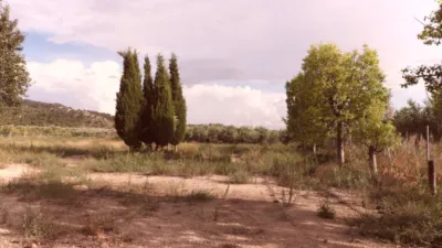 Finca rústica en venta en Calle de Tobarra, Tobarra