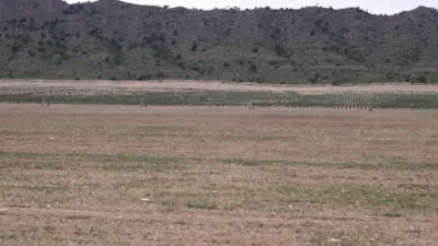 Finca rústica en venta en Albacete, Albacete Capital de 8.000.000 €