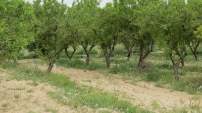 Rustic finca on Pedania de Sierra Street photo 3
