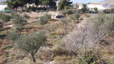 Terreno en venta en Sierra - Vista 2