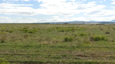 Rustic farm in Jumilla photo 10