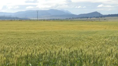 Rustic farm in Jumilla photo 11