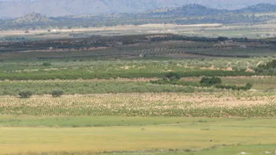 Rustic farm in Jumilla photo 14