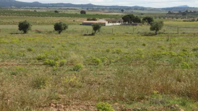 Rustic farm in Jumilla photo 16