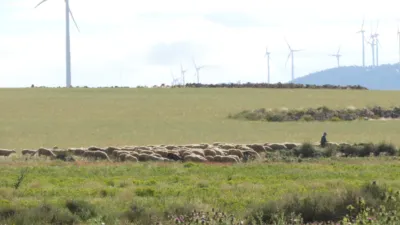 Rustic farm in Jumilla photo 20