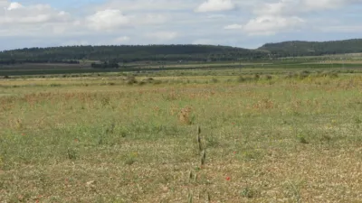 Rustic farm in Jumilla photo 24