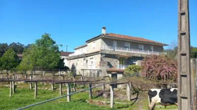 House in Godos photo 11