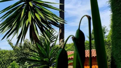 Rustic property in Dena (Santa Eulalia) photo 9