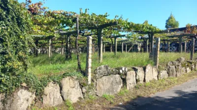 Rustic farm in Caleiro (Resto Parroquia) photo 4