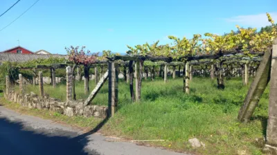 Rustic farm in Caleiro (Resto Parroquia) photo 5