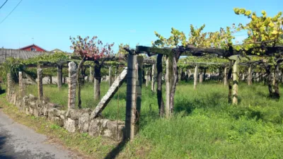 Rustic farm in Caleiro (Resto Parroquia) photo 2