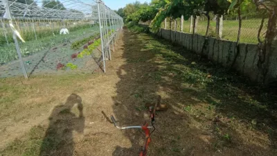 Rustic farm in Arealonga photo 6
