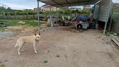 Rustic farm in Arealonga photo 7