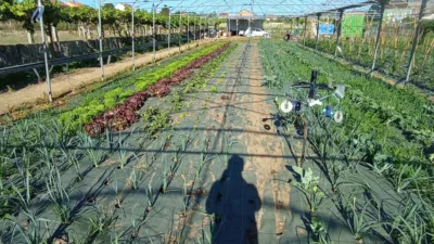 Rustic farm in Arealonga photo 5
