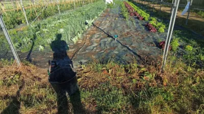 Rustic farm in Arealonga photo 3