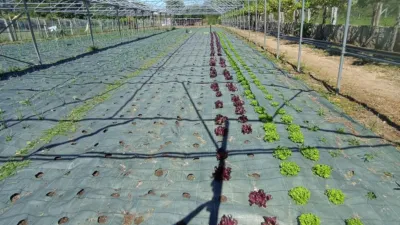 Rustic farm in Arealonga photo 2