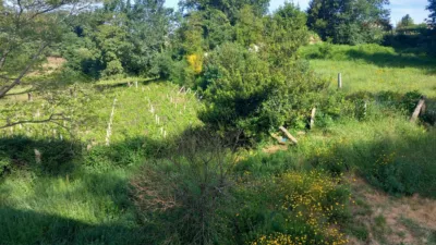 House in Briallos photo 21