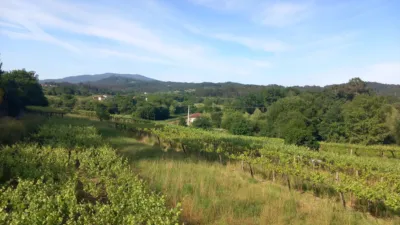 House in Briallos photo 8