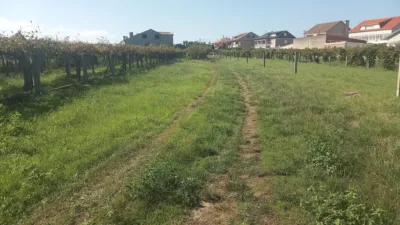 Rustic Finca in Vilanova de Arousa photo 4