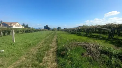 Rustic Finca in Vilanova de Arousa photo 5