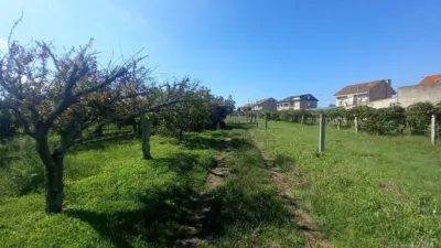 Rustic Finca in Vilanova de Arousa photo 3