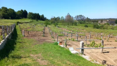 Rustic farm on Nantes Street photo 11