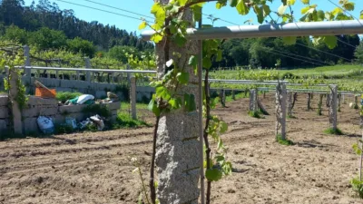 Rustic farm on Nantes Street photo 4