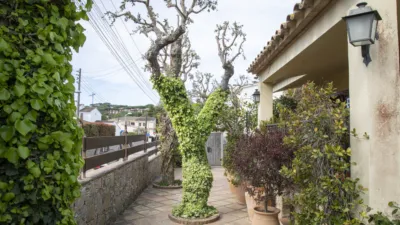 Detached house on Carrer de la Primavera photo 8