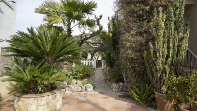 Detached house on Carrer de la Primavera photo 10