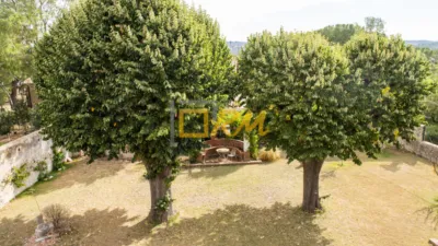 Rustic finca on Calle Roberto photo 43