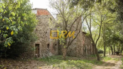 Rustic finca on Calle Roberto photo 54
