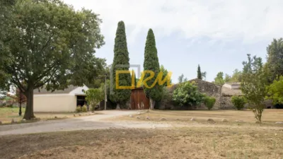 Rustic finca on Calle Roberto photo 56