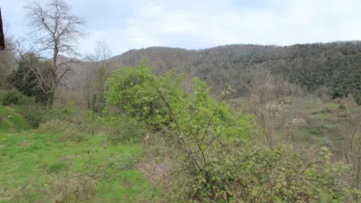 Rustic house in Sector Mas Bac de Davant photo 12