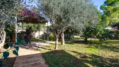 House in Son Flor-Son Moix photo 16