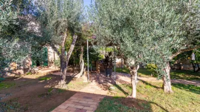 House in Son Flor-Son Moix photo 30
