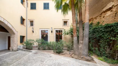 Ground Floor Flat on Carrer de Santa Fe photo 44