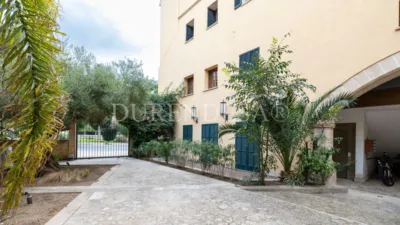 Ground Floor Flat on Carrer de Santa Fe photo 43