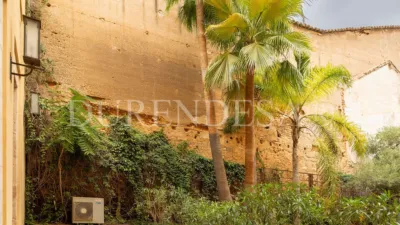 Ground Floor Flat on Carrer de Santa Fe photo 37