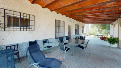 Rustic Finca in Pedanias and the Northwest photo 14