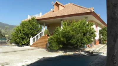 Chalet in Moratalla photo 16