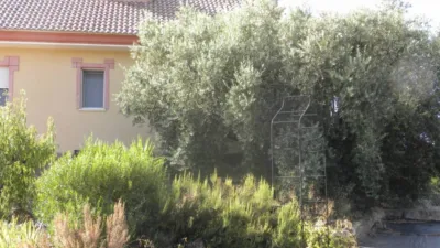 Chalet in Moratalla photo 20
