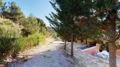 Rustic Finca in Pedanias and Noroeste photo 8