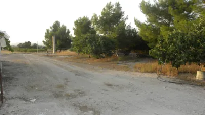Rustic Finca in Pedanias and North-West photo 25