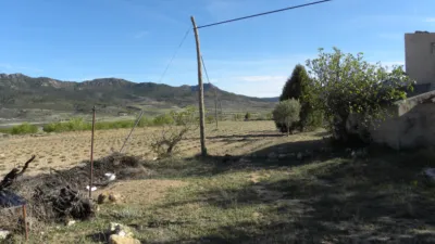 Rustic finca on Calle Casa Puero photo 43