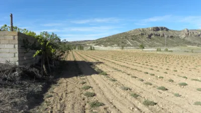 Rustic finca on Calle Casa Puero photo 44